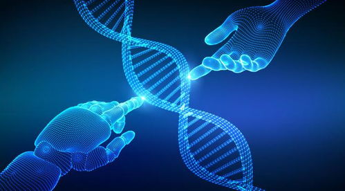 禾元生物IPO之路 業(yè)績(jī)連年虧損，技術(shù)開發(fā)與產(chǎn)品商業(yè)化雙重挑戰(zhàn)