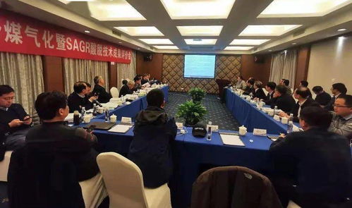 高灰熔點劣質煤高效氣化關鍵技術開發及應用成果通過評審